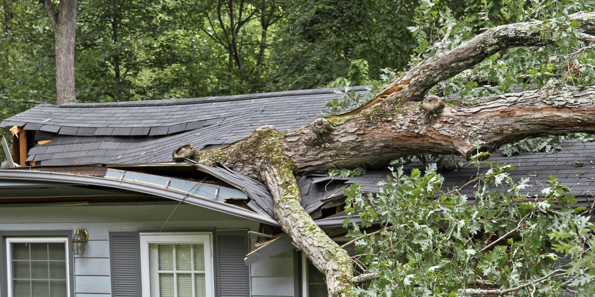 Public Adjuster